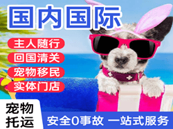 舟山机场快递国际宠物托运 【国